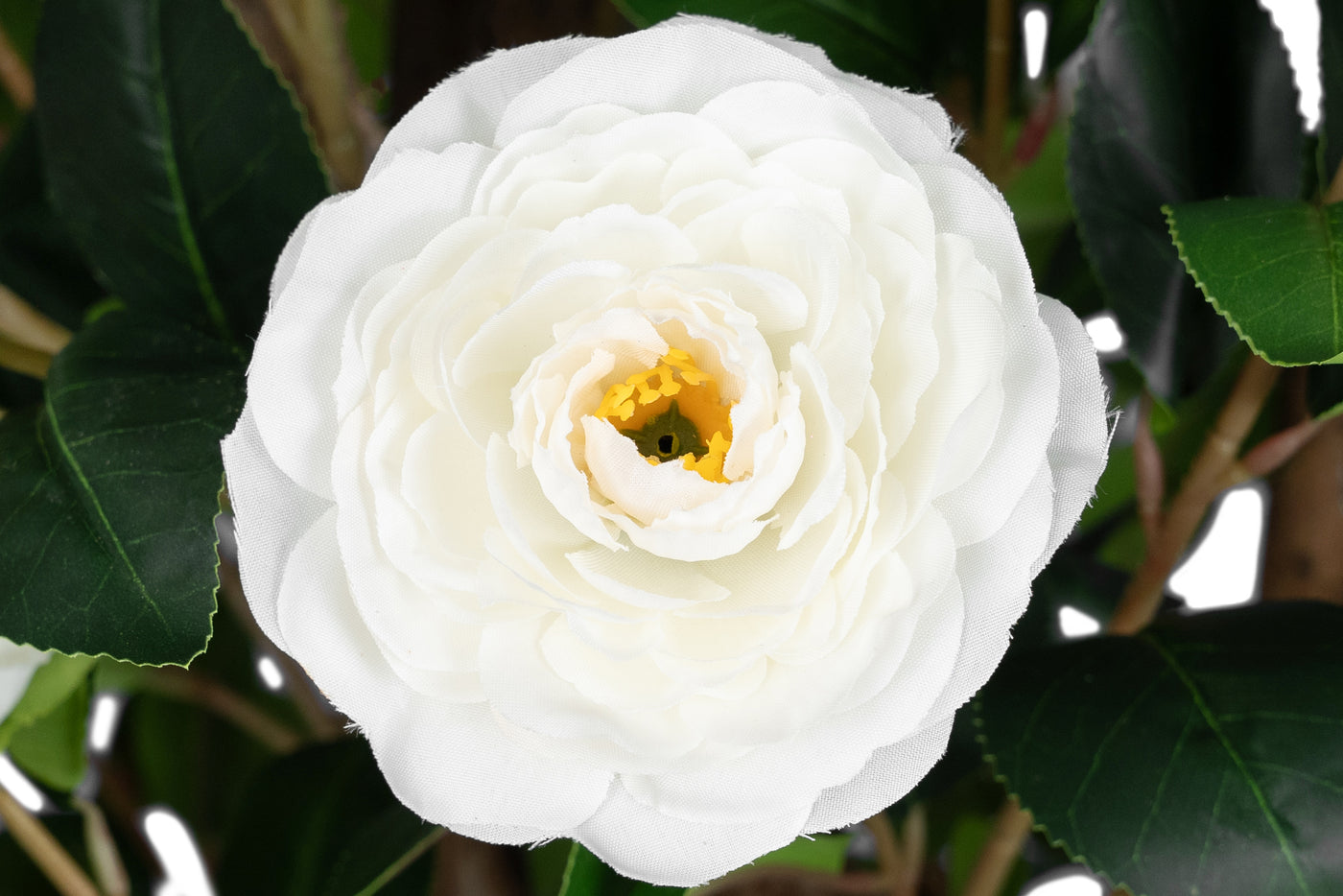 Copac artificial Camelia Japonica H180 cm cu 480 frunze si 48 flori albe