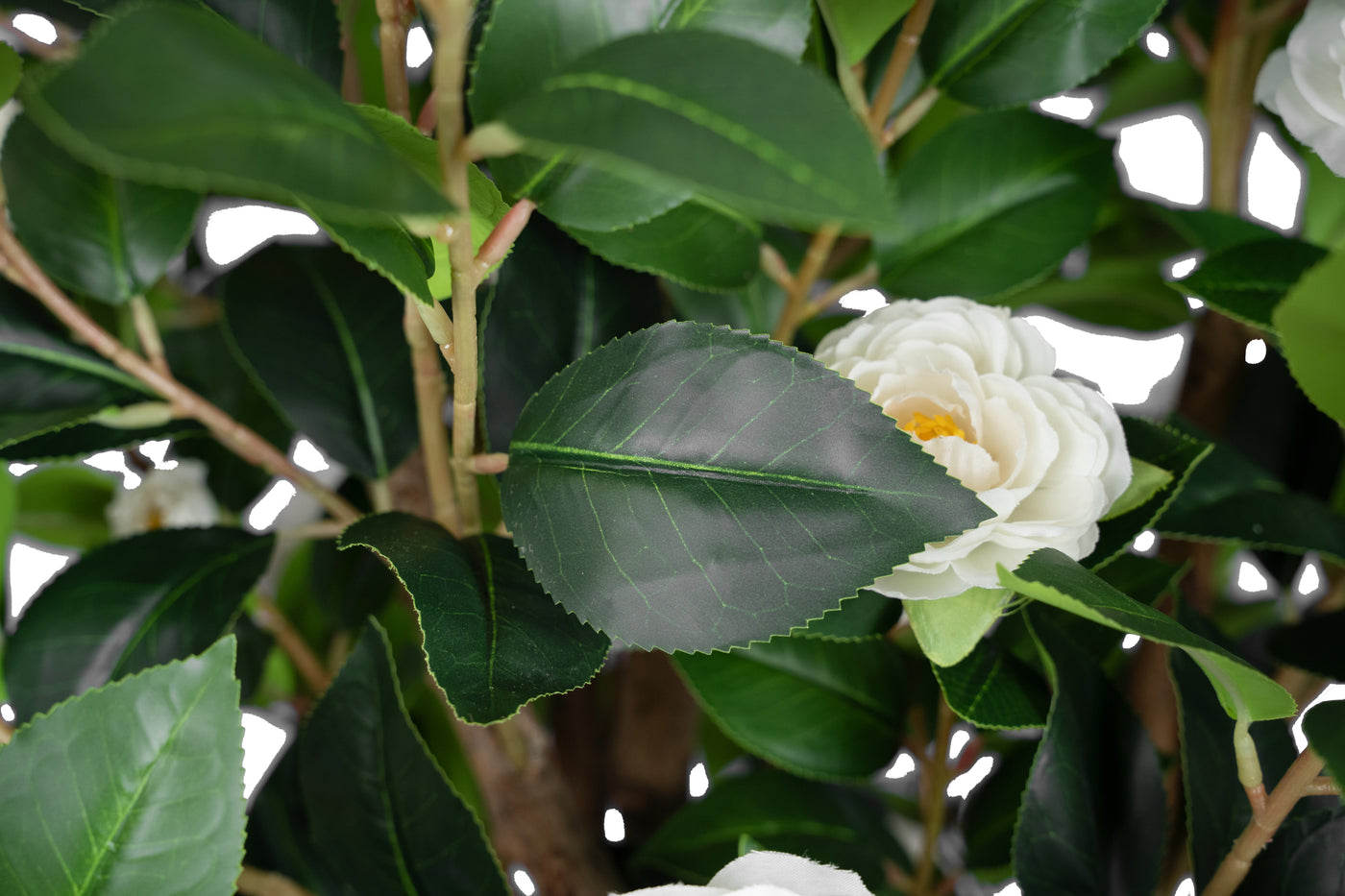 Copac artificial Camelia Japonica H180 cm cu 480 frunze si 48 flori albe