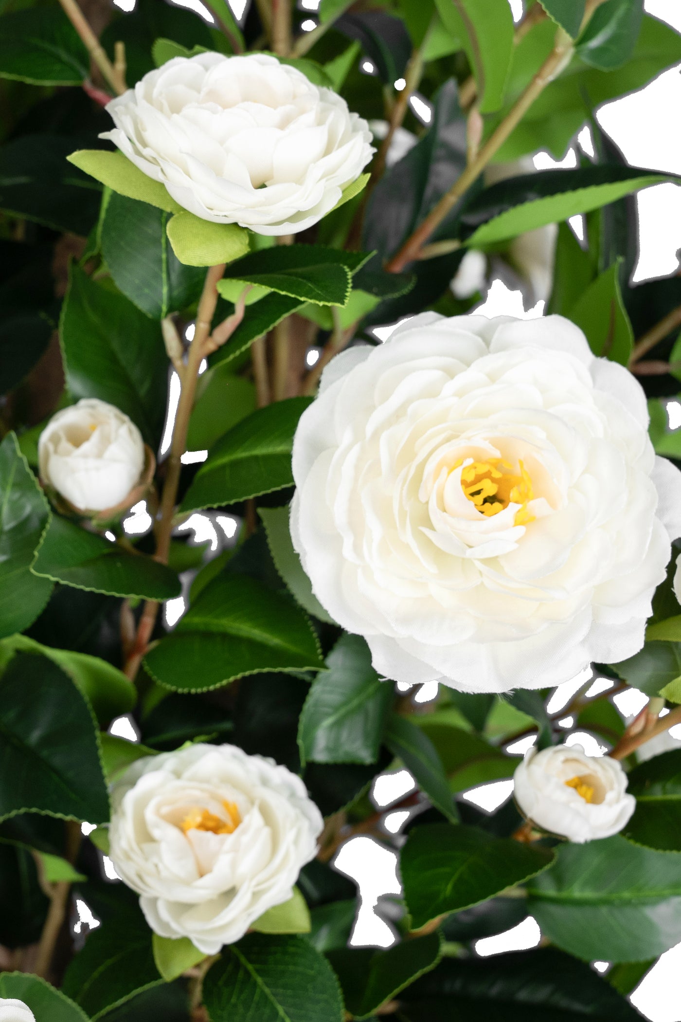 Copac artificial Camelia Japonica H180 cm cu 480 frunze si 48 flori albe