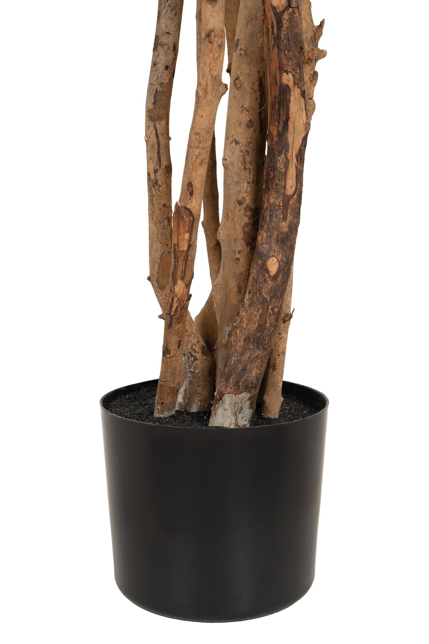 Copac artificial Camelia Japonica H180 cm cu 480 frunze si 48 flori albe