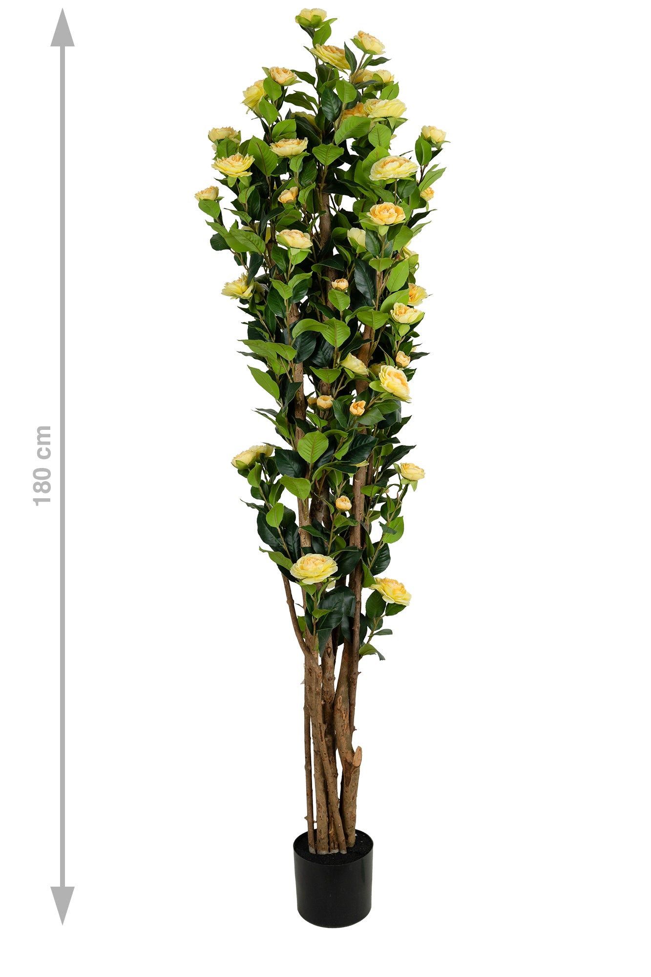 Copac artificial Camelia Japonica H180 cm cu 522 frunze si 72 flori crem