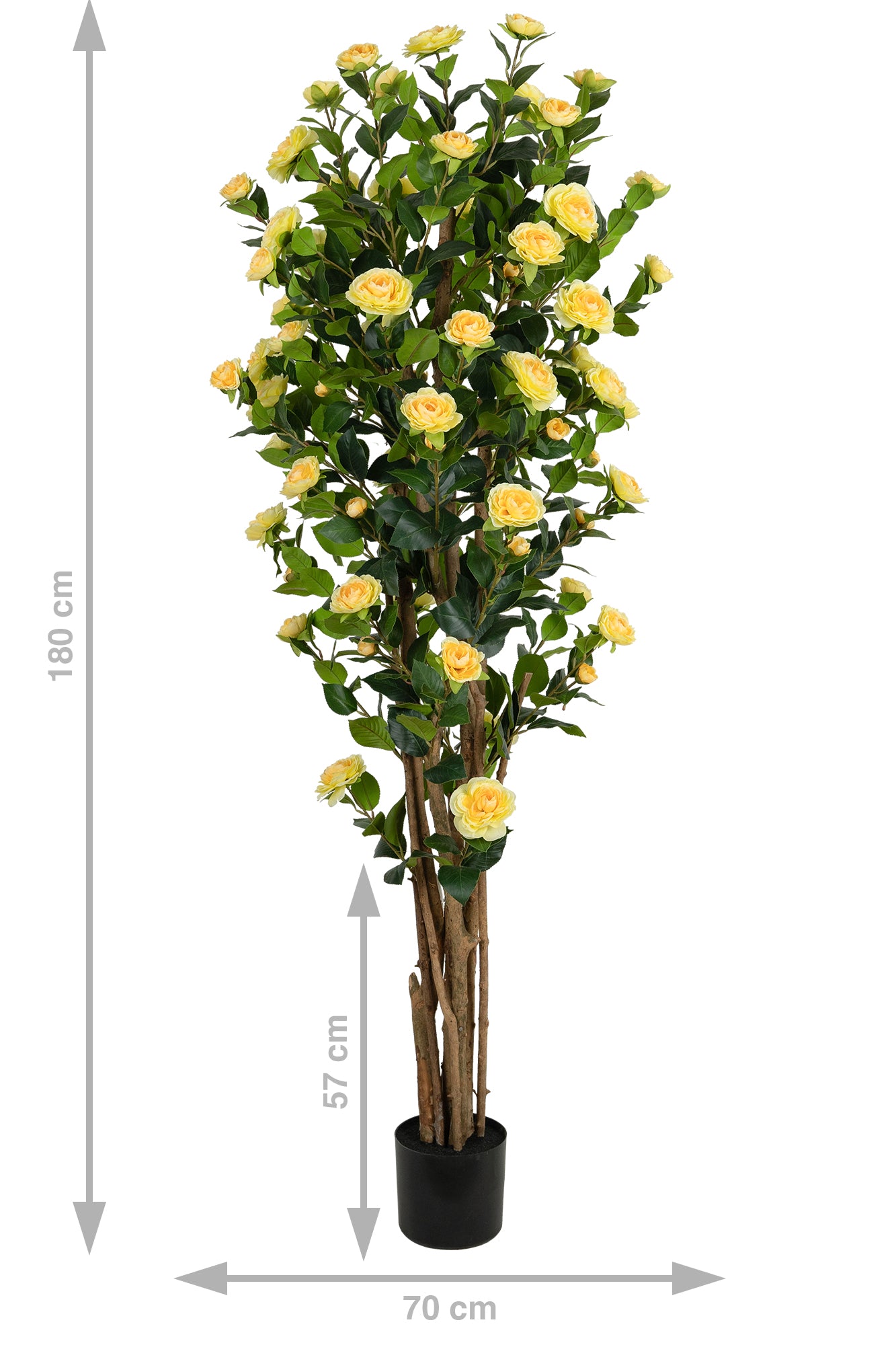 Copac artificial Camelia Japonica H180 cm cu 522 frunze si 72 flori crem