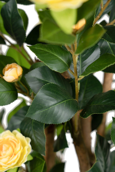 Copac artificial Camelia Japonica H180 cm cu 522 frunze si 72 flori crem