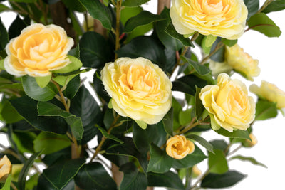 Copac artificial Camelia Japonica H180 cm cu 522 frunze si 72 flori crem