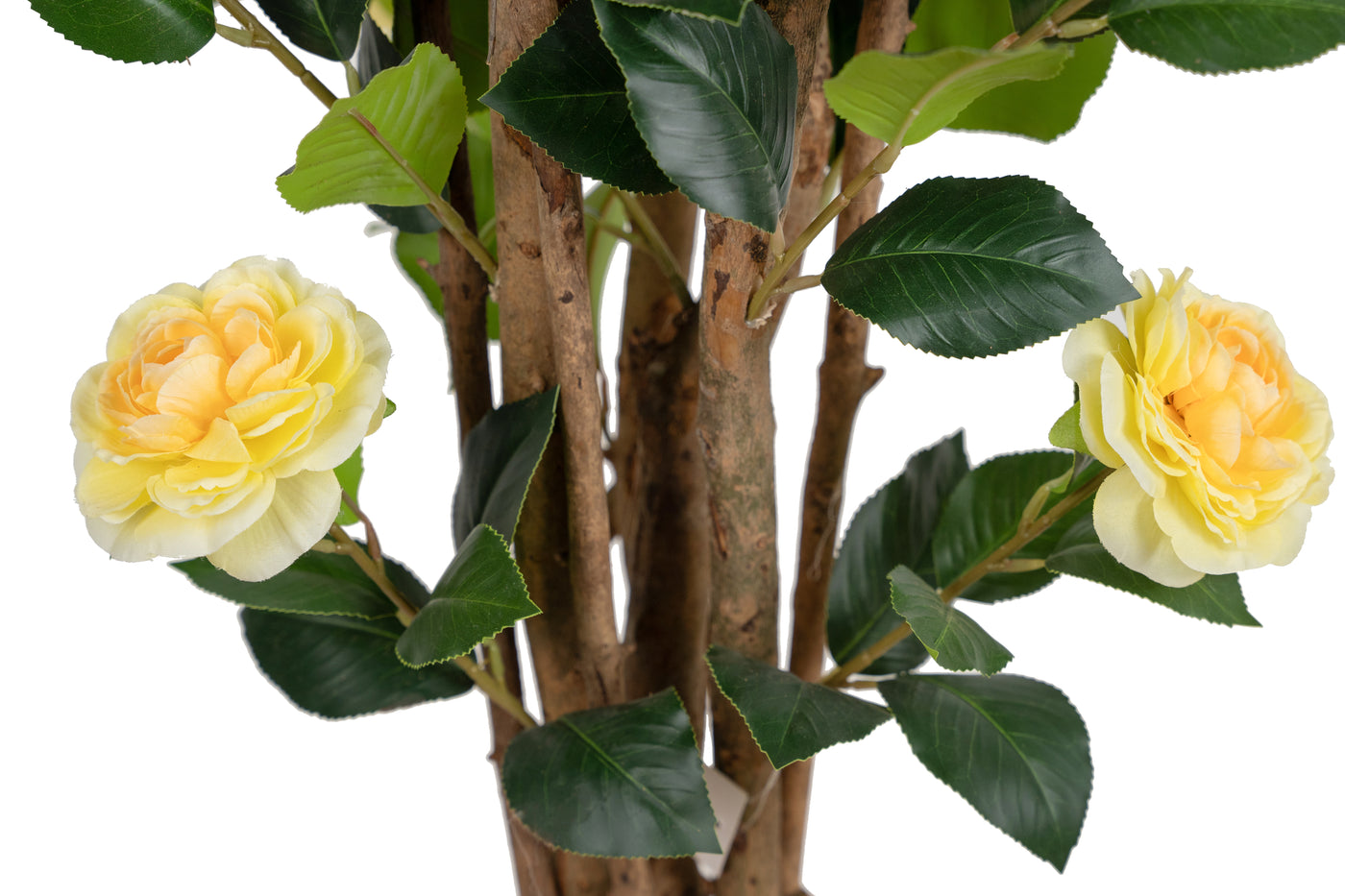 Copac artificial Camelia Japonica H180 cm cu 522 frunze si 72 flori crem