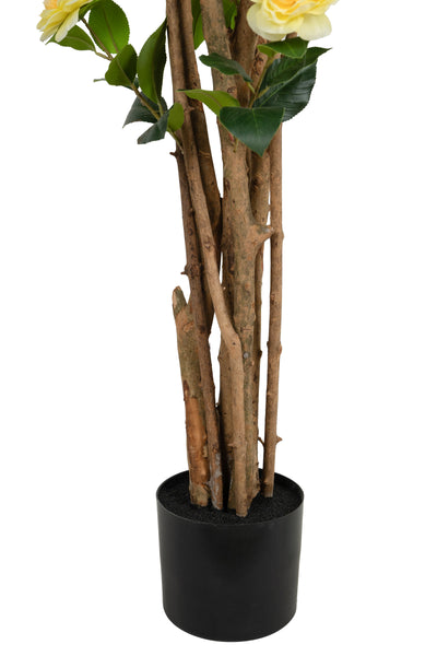 Copac artificial Camelia Japonica H180 cm cu 522 frunze si 72 flori crem