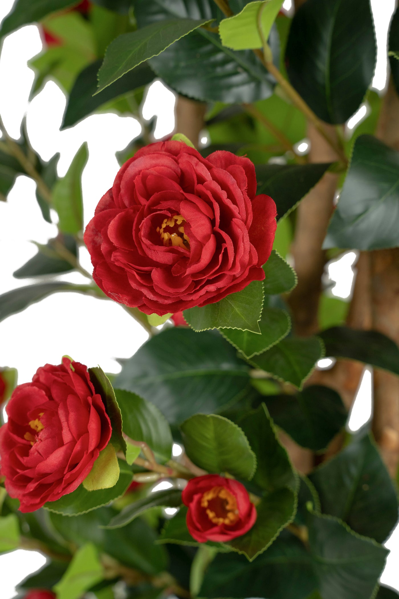 Copac artificial Camelia Japonica H180 cm cu 522 frunze si 72 flori rosii