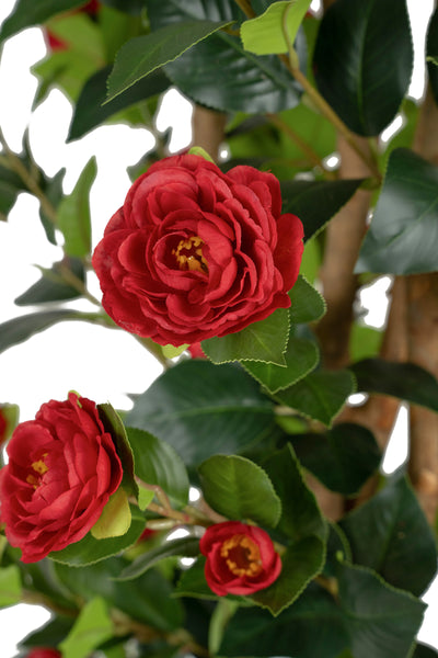 Copac artificial Camelia Japonica H180 cm cu 522 frunze si 72 flori rosii