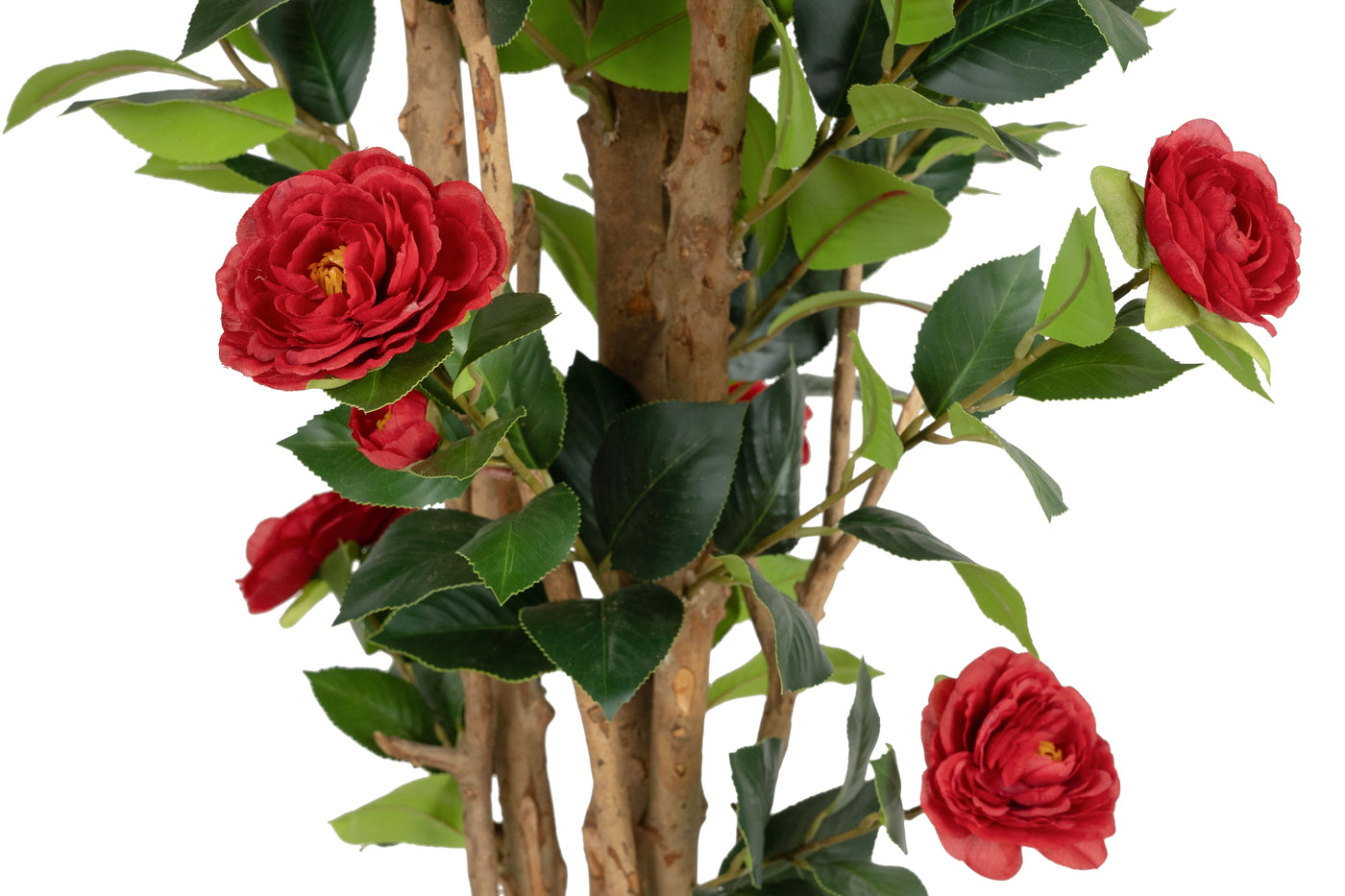 Copac artificial Camelia Japonica H180 cm cu 522 frunze si 72 flori rosii