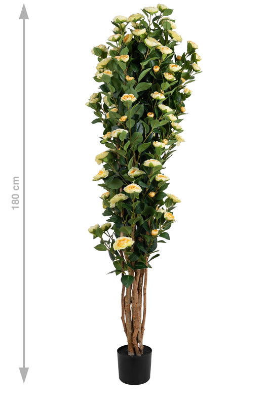 Copac artificial Camelia Japonica H180 cm cu 870 frunze si 120 flori crem