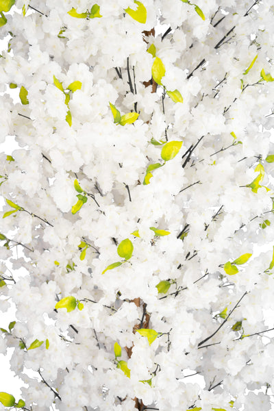 Copac artificial Cires 210 cm cu 3 trunchiuri si 40 crengi cu flori albe