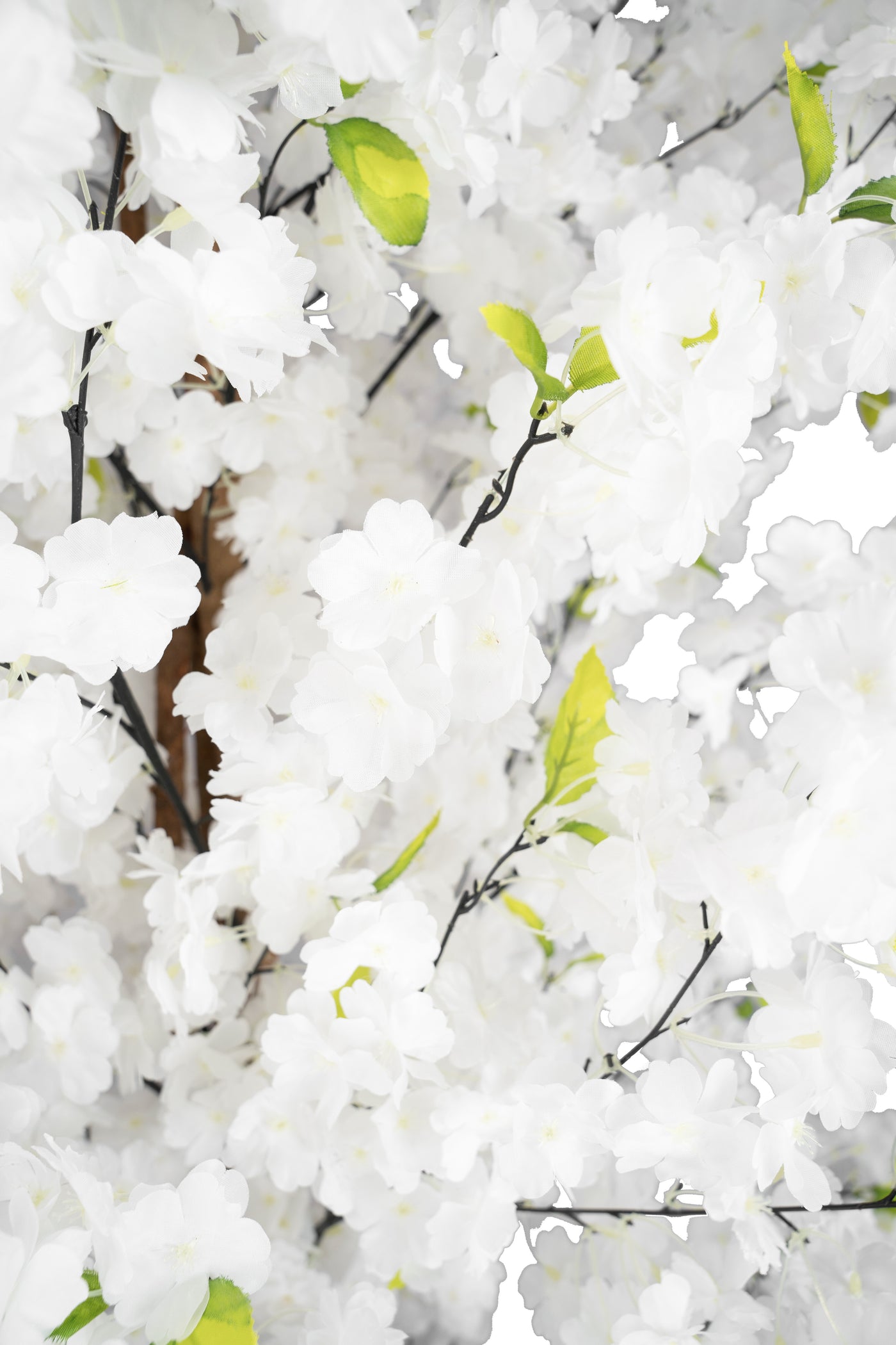 Copac artificial Cires 210 cm cu 3 trunchiuri si 40 crengi cu flori albe