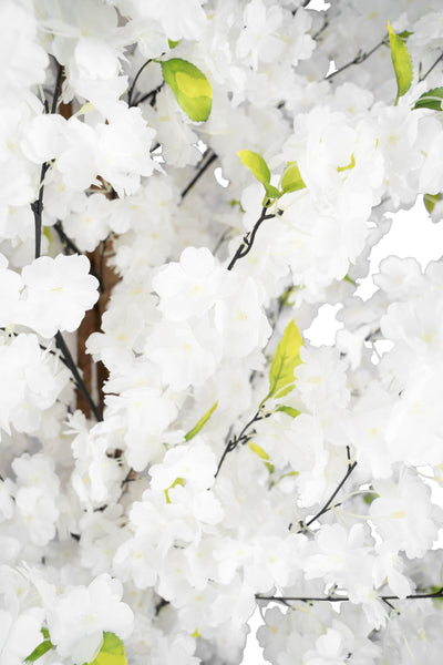 Copac artificial Cires 210 cm cu 3 trunchiuri si 40 crengi cu flori albe