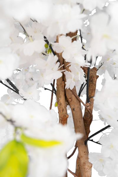 Copac artificial Cires 210 cm cu 3 trunchiuri si 40 crengi cu flori albe