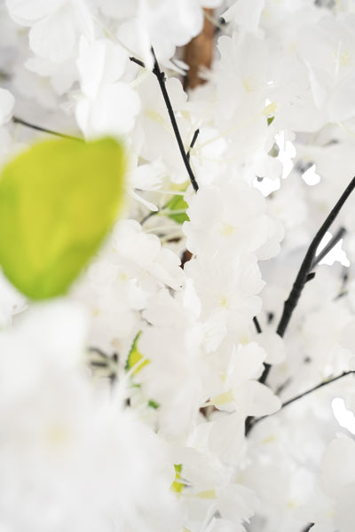 Copac artificial Cires 210 cm cu 3 trunchiuri si 40 crengi cu flori albe