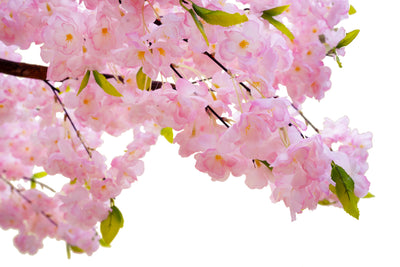 Copac artificial H330cm Cires cu flori roz inchis, coroana L320cm