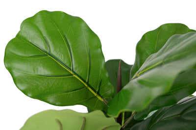 Copac artificial Ficus lyrata 110 cm cu 3 tulpini si 18 frunze