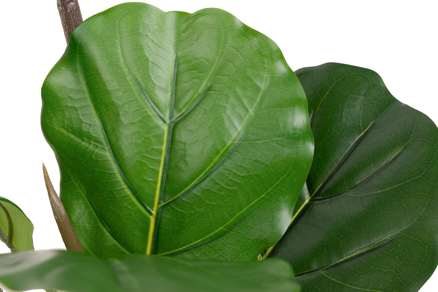 Copac artificial Ficus lyrata 110 cm cu 3 tulpini si 18 frunze