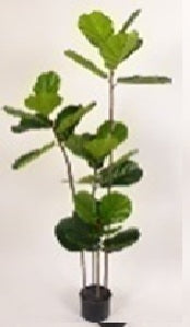 Copac artificial Ficus lyrata 150 cm cu 4 tulpini si 28 frunze