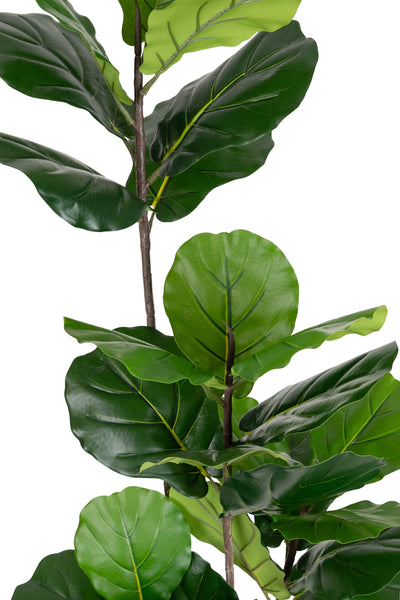 Copac artificial Ficus lyrata 150 cm cu 4 tulpini si 28 frunze