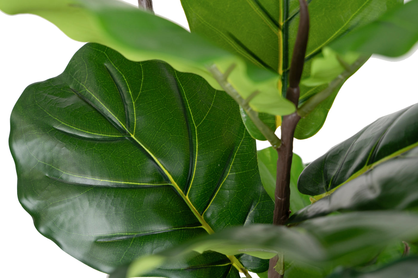 Copac artificial Ficus lyrata 150 cm cu 4 tulpini si 28 frunze