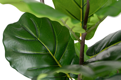 Copac artificial Ficus lyrata 150 cm cu 4 tulpini si 28 frunze