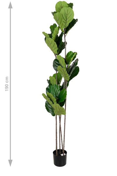 Copac artificial Ficus lyrata 180 cm cu 5 tulpini si 35 frunze