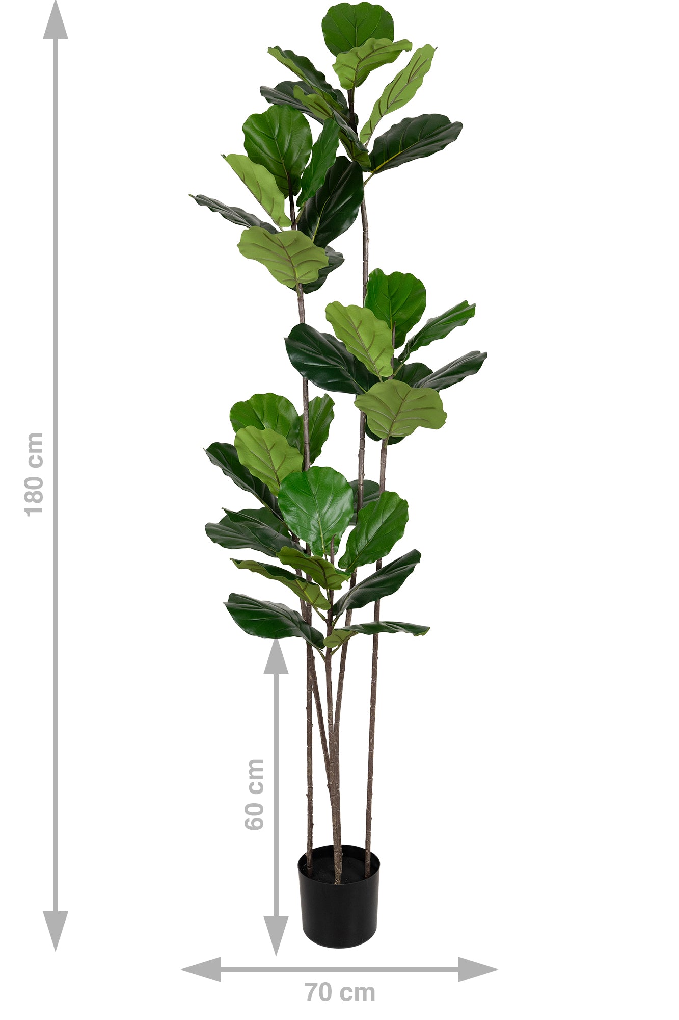 Copac artificial Ficus lyrata 180 cm cu 5 tulpini si 35 frunze