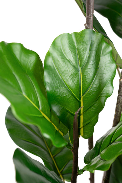 Copac artificial Ficus lyrata 180 cm cu 5 tulpini si 35 frunze