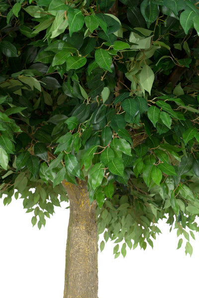 Copac artificial H360cm Ficus gigant, coroana D300cm