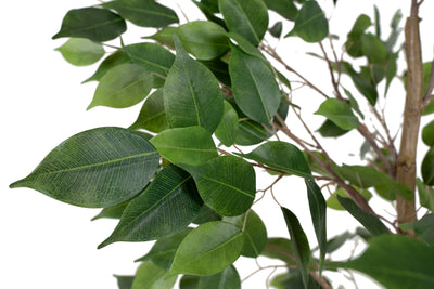 Copac artificial H100 Ficus benjamina cu 504 frunze