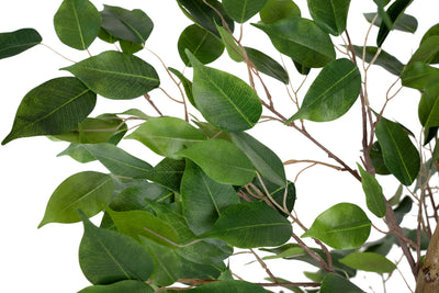 Copac artificial H100 Ficus benjamina cu 504 frunze