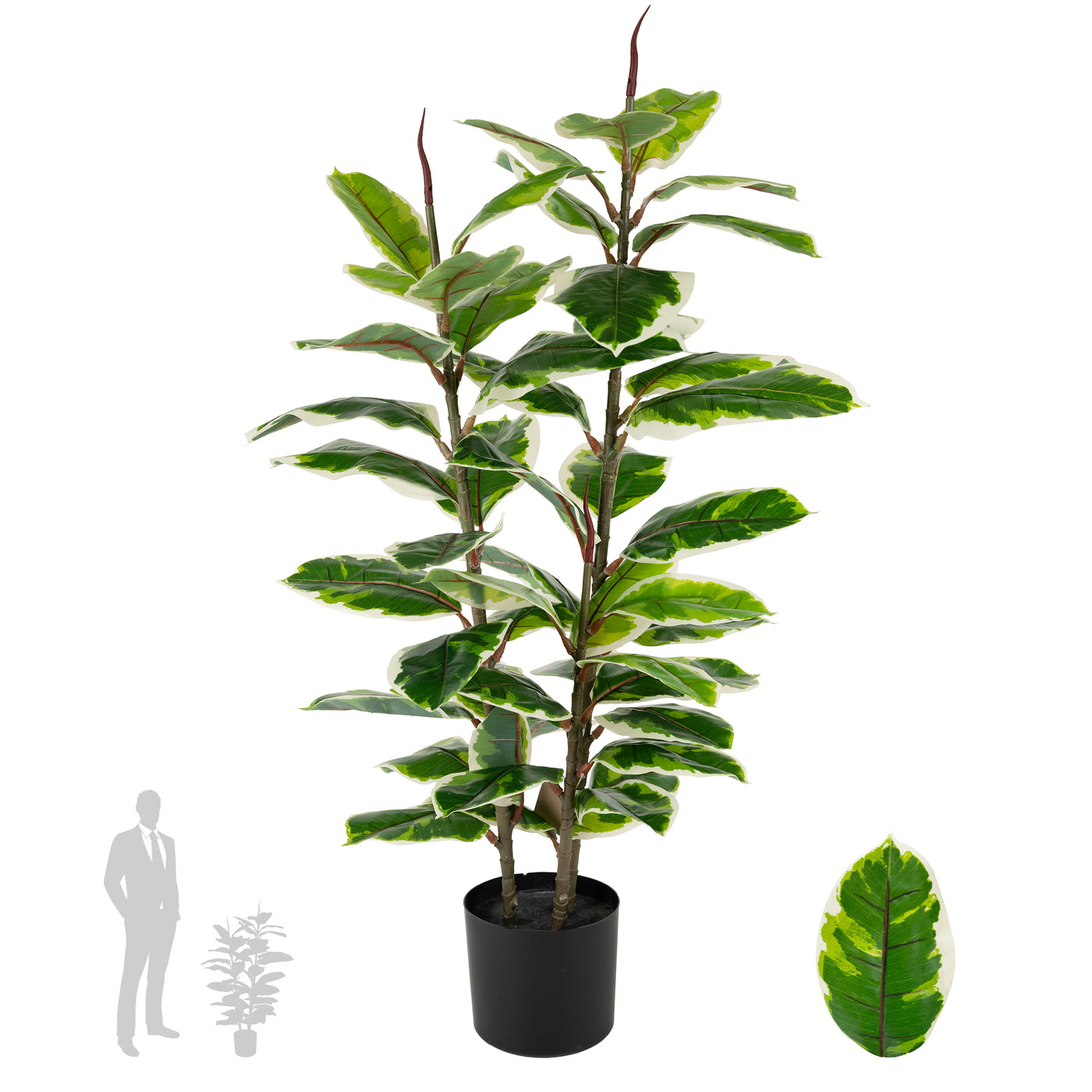 Copac artificial H100cm Ficus robusta variegat cu 49 frunze verde cu alb