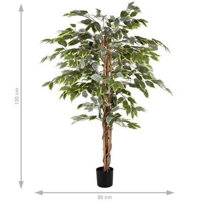 Copac artificial H120cm Ficus benjamina variegat cu 714 frunze verde cu alb