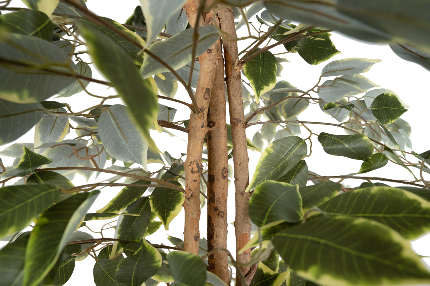 Copac artificial H120cm Ficus benjamina variegat cu 714 frunze verde cu alb