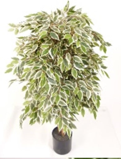 Copac artificial H120cm Ficus cu 2160 frunze mini verzi cu alb