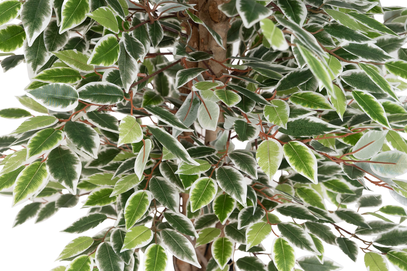 Copac artificial H120cm Ficus cu 2160 frunze mini verzi cu alb