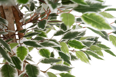Copac artificial H120cm Ficus cu 2160 frunze mini verzi cu alb
