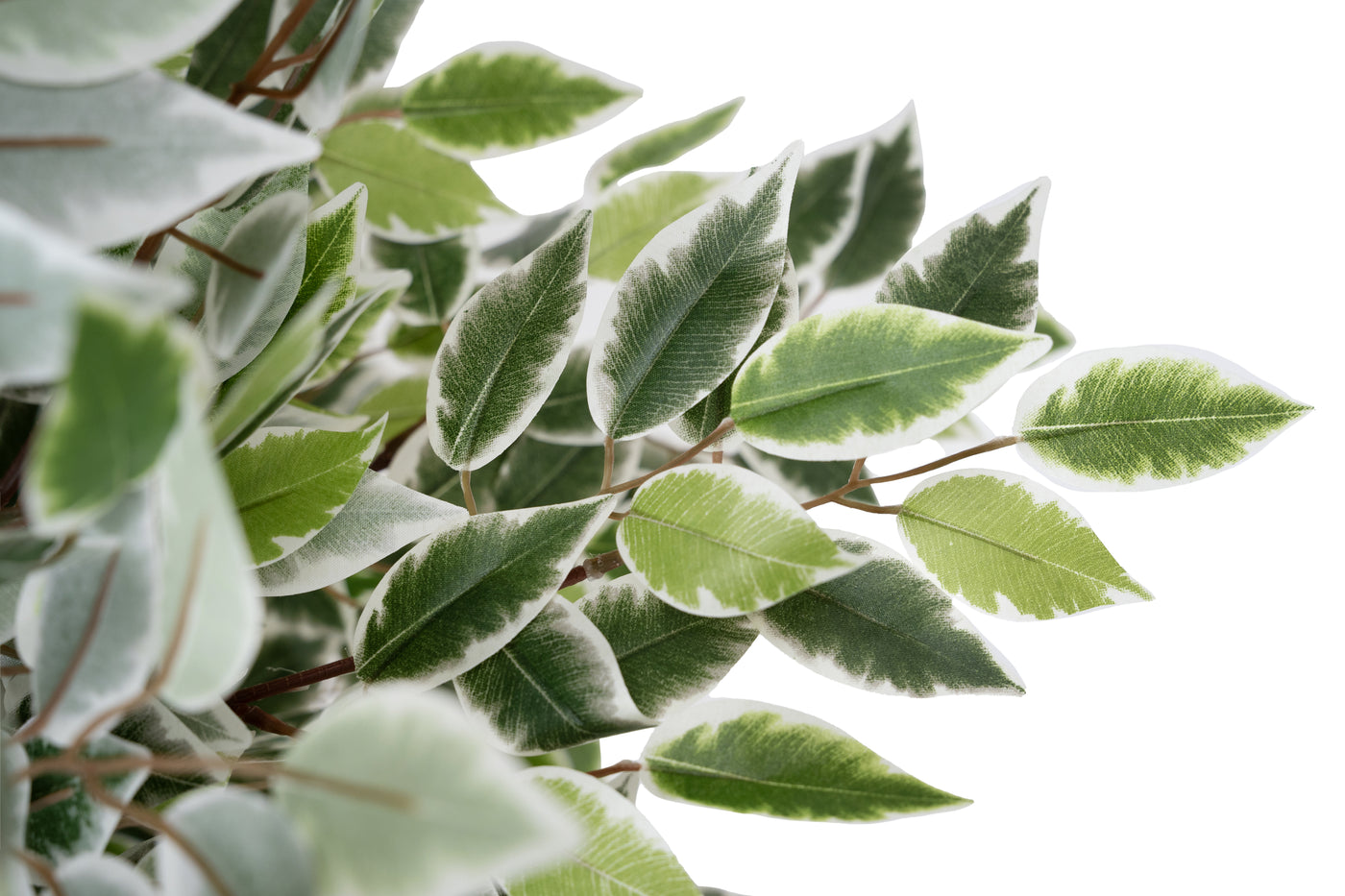 Copac artificial H120cm Ficus cu 2160 frunze mini verzi cu alb