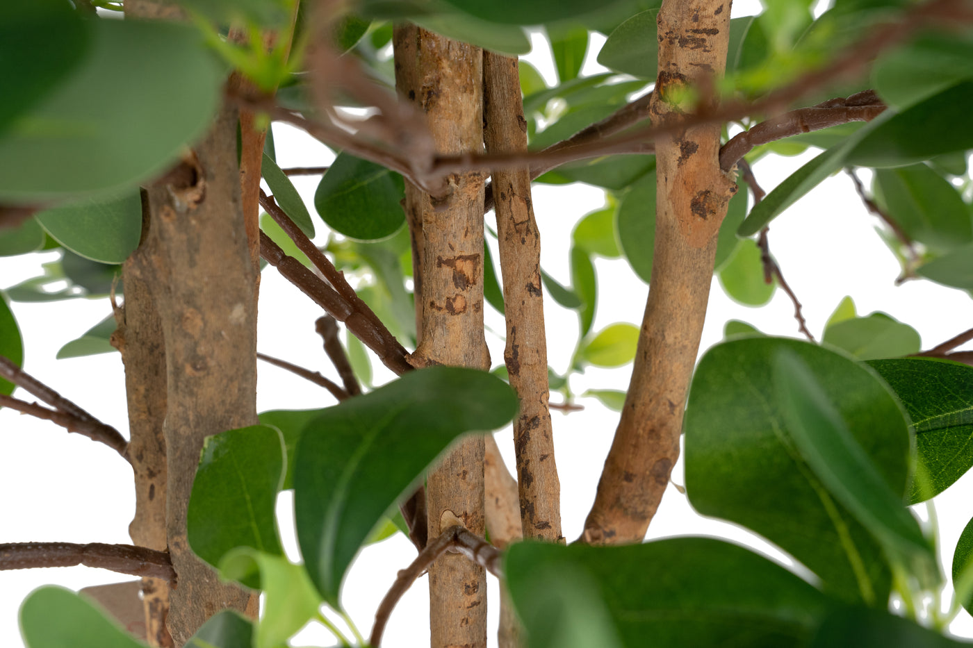 Copac artificial H120cm Ficus orient cu 2100 frunze