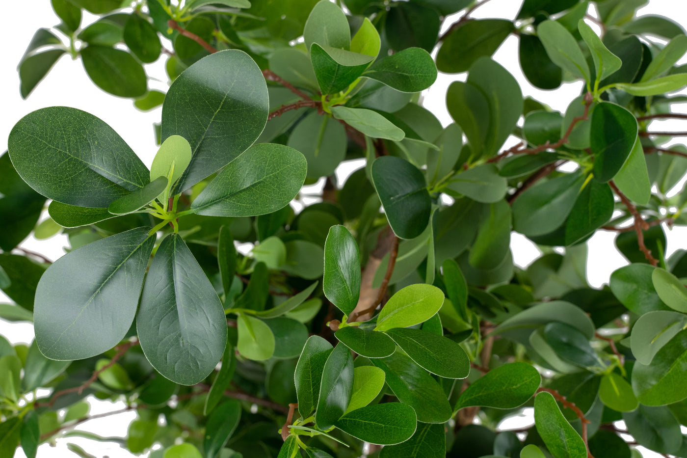 Copac artificial H120cm Ficus orient cu 2100 frunze