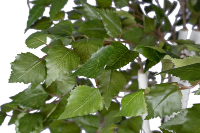 Copac artificial H120cm Mesteacan alb cu 1020 frunze