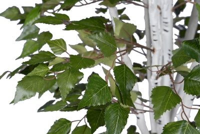 Copac artificial H120cm Mesteacan alb cu 1020 frunze