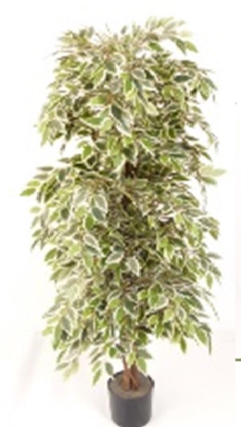 Copac artificial H150cm Ficus cu 2880 frunze mini verzi cu alb