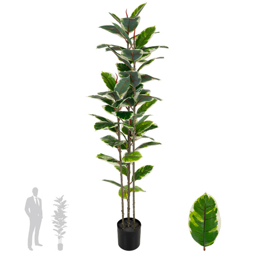 Copac artificial H160cm Ficus elastica variegat cu 61 frunze verde cu alb