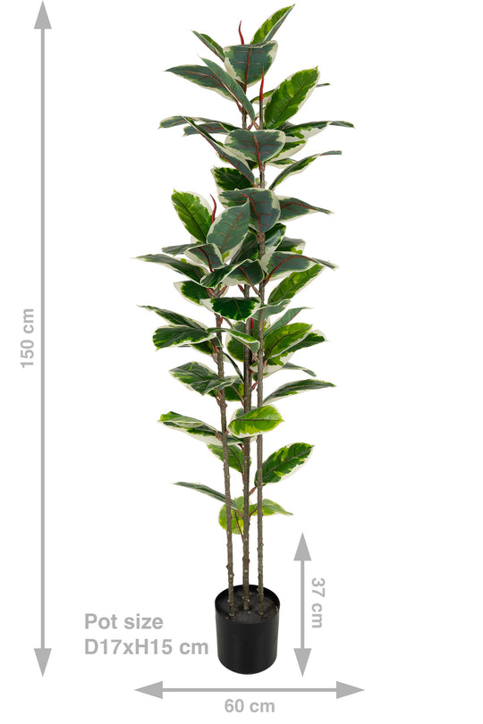 Copac artificial H160cm Ficus elastica variegat cu 61 frunze verde cu alb