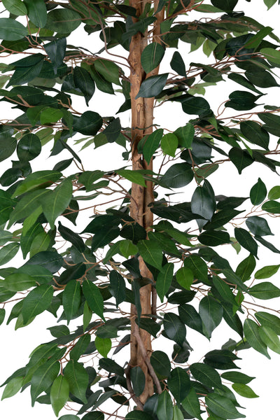 Copac artificial H180cm Ficus cu 3 trunchiuri si 966 frunze verzi