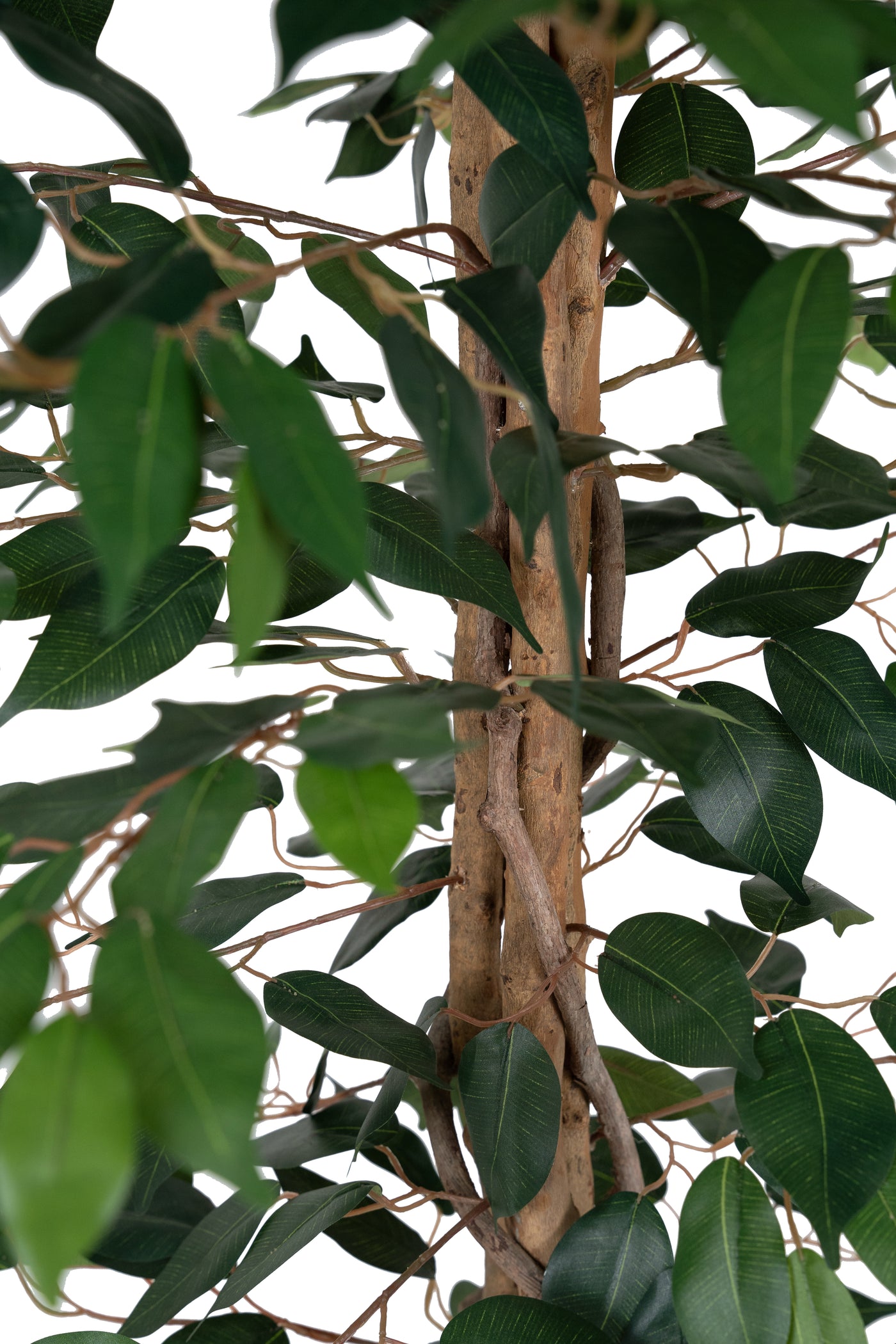 Copac artificial H180cm Ficus cu 3 trunchiuri si 966 frunze verzi