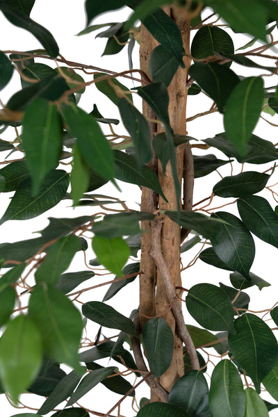 Copac artificial H180cm Ficus cu 3 trunchiuri si 966 frunze verzi