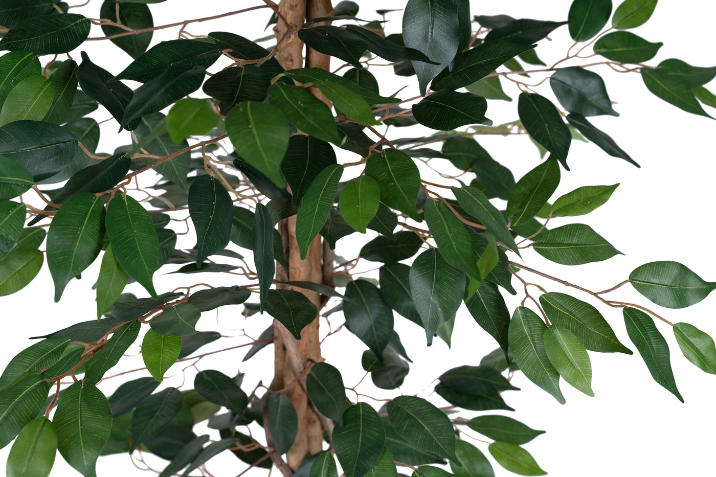 Copac artificial H180cm Ficus cu 3 trunchiuri si 966 frunze verzi